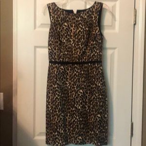 Leopard print dress